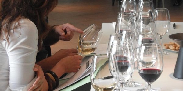 Cata de Vinos