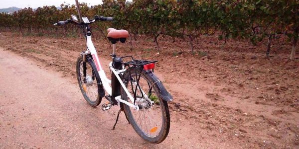 Cavas Bolet con Bicicleta