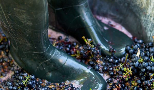 sistema de filtracion vino