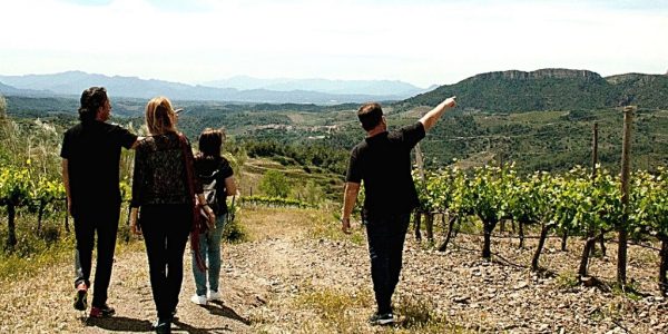 Curso de Cata y Visita