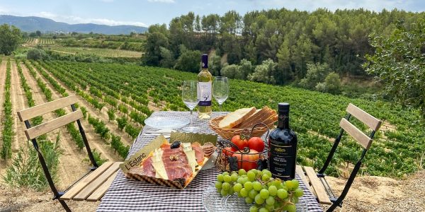 Desayuno al jardín de la bodega