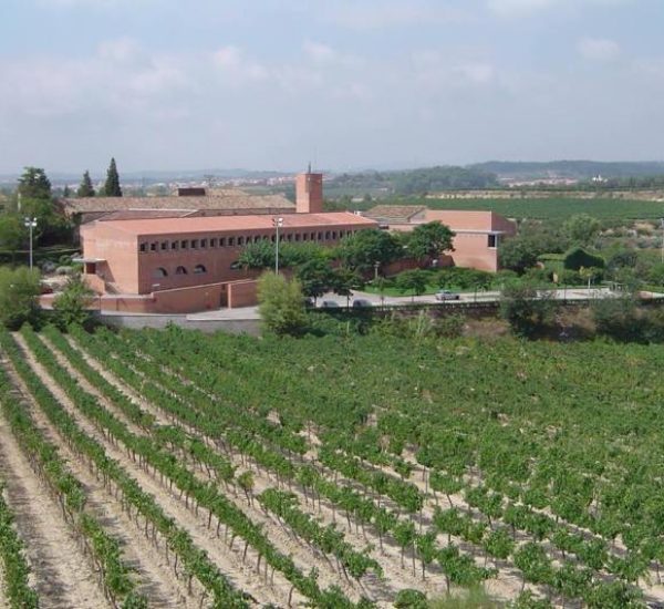 Escola Agrària de Viticultura i Enologia Mercè Rossell i Domènech