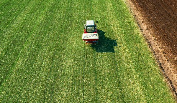 Fertilizante nitrogenado para el cuidado de tus viñedos