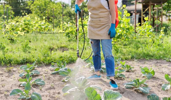 Fitosanitarios y semillas para el cuidado y mantenimiento de tus viñedos