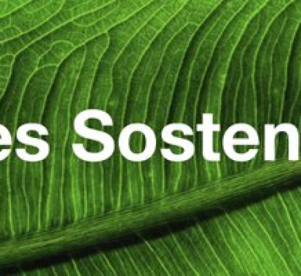 Gaslogic - Gases Sostenibles Portada