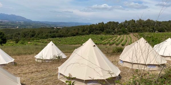 Glamping soñar entre viñedos