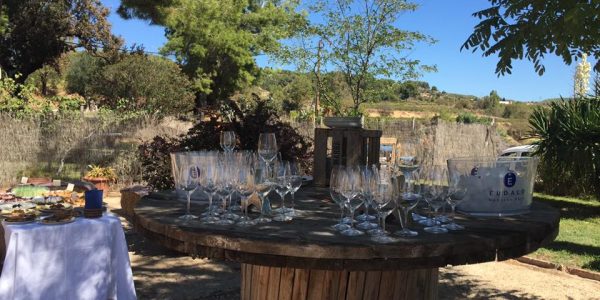 Master Class de Vinos