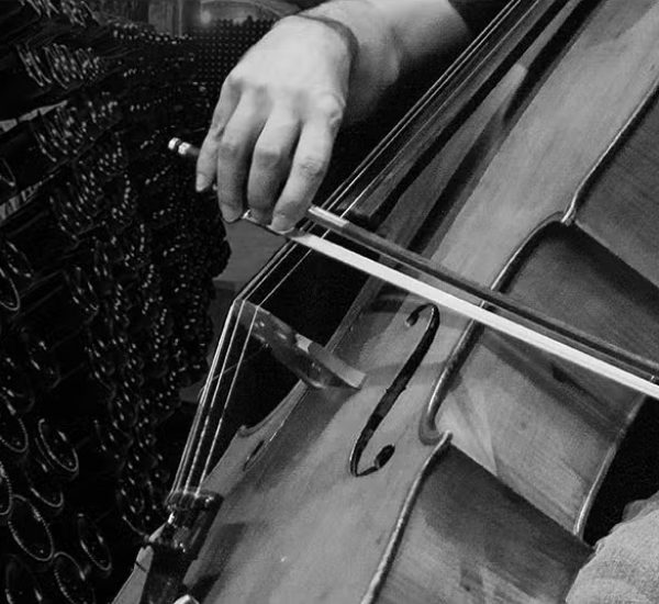 MusiCava