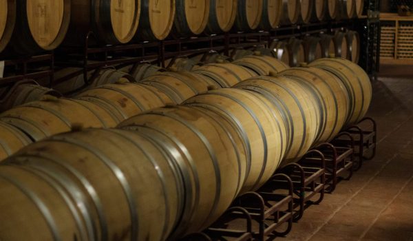 producción de vinos