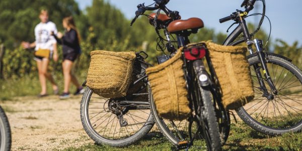 Paisaje Origata entre viñedos con bicicleta eléctrica