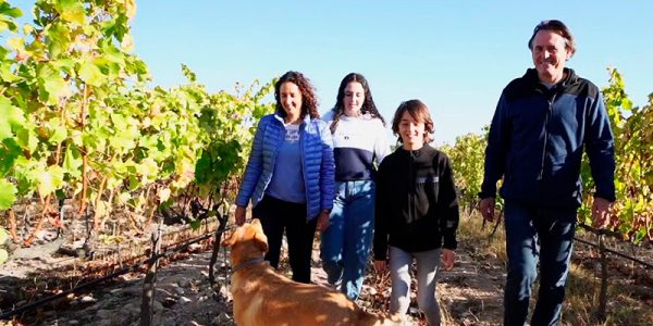 Paseo entre viñedos, visita de la bodega y degustación de vinos y productos de proximidad
