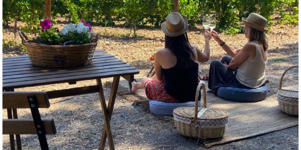 Plantas del viñedo y aperitivo salvaje