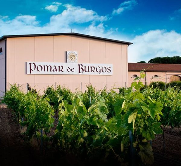 Pomar Viñedos