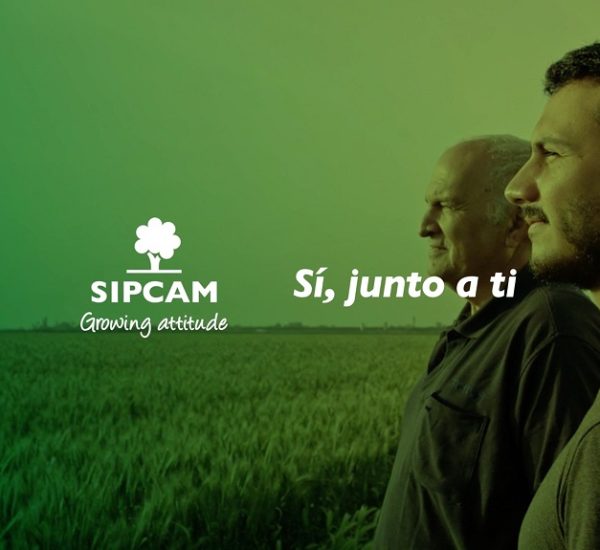 Sipcam Iberica Portada