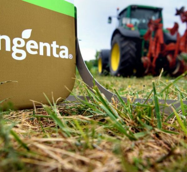 Syngenta Portada
