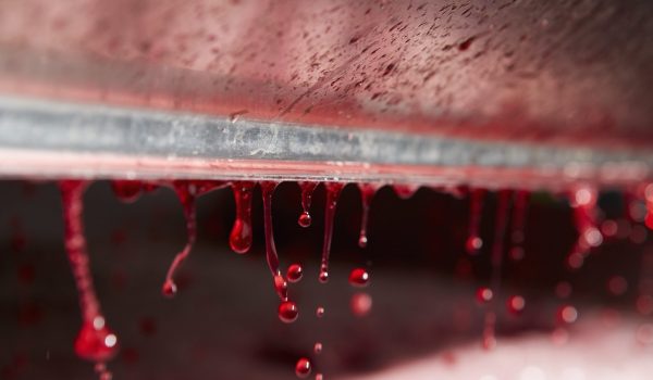 prensas de vino