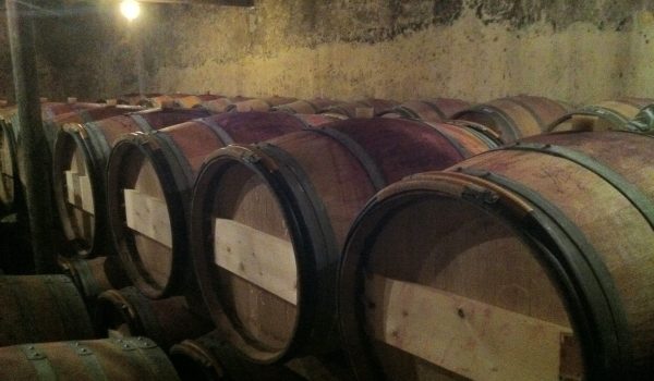 exportación vinos