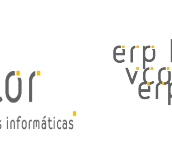 Vector Aplicaciones Informáticas