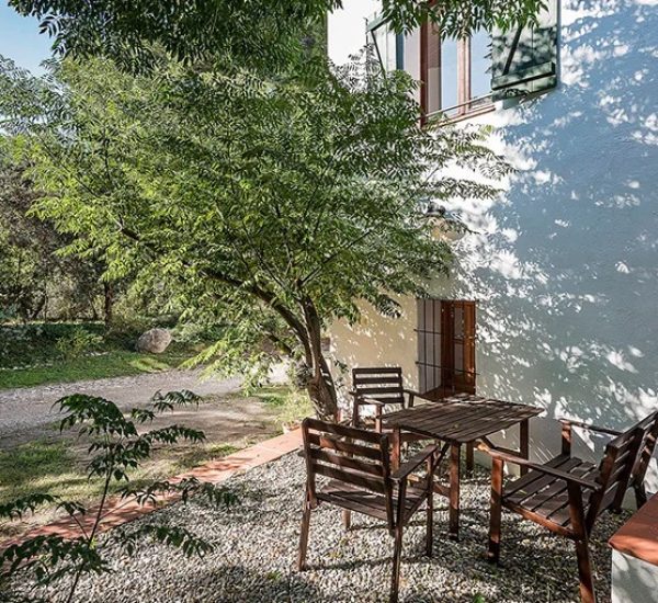 Vida Bucólica casa rural con encanto entre viñedo
