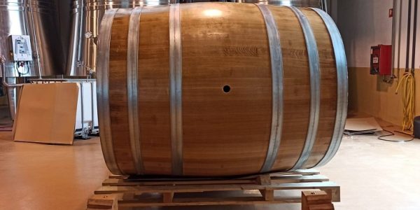 Visita a La Bodega