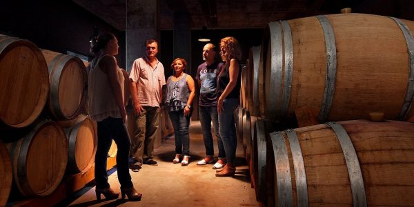 Visita Bodegas Mastinell