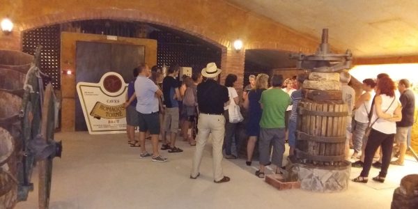 Visita + Cata de 3 Productos