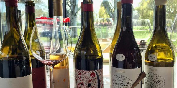 Visita con cata de 6 Vinos