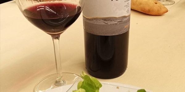 Visita Gourmet Plus