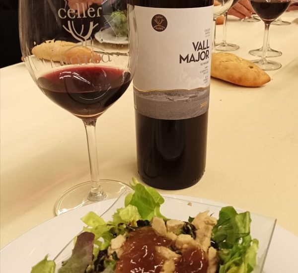 Visita Gourmet Plus