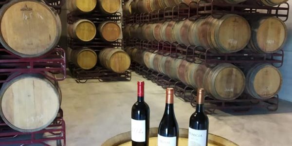 Visita Guiada a La Bodega + Cata De 4 Vinos
