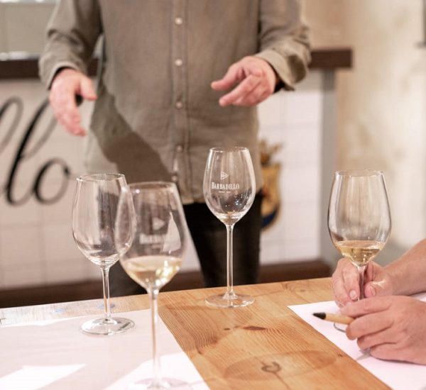 Visita guiada + degustación 2 vinos + aperitivo