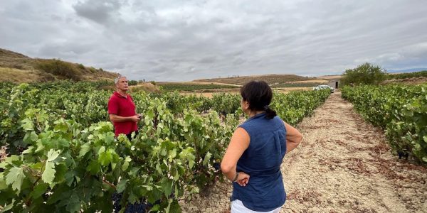 Visita Premium