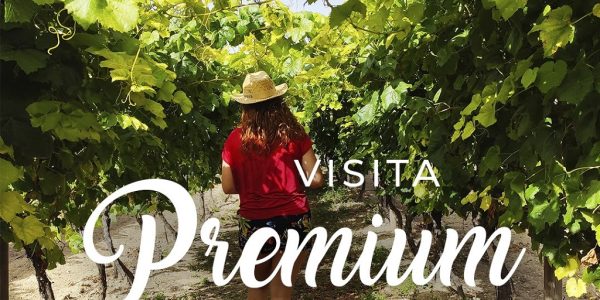 Visita Premium