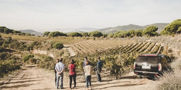 Visita Privada en 4×4
