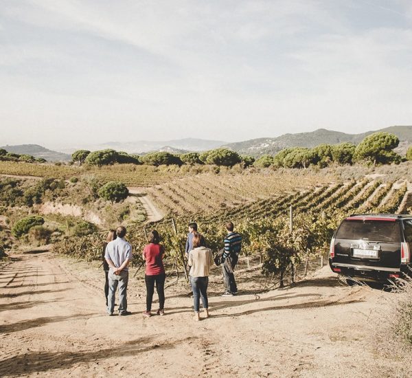 Visita Privada en 4×4