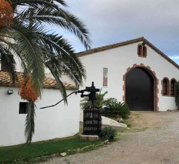 Visitas