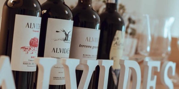 Vive la Experiencia Alvides