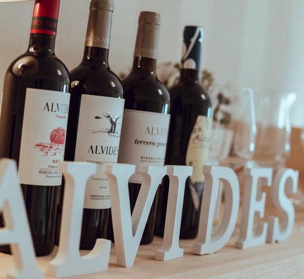 Vive la Experiencia Alvides