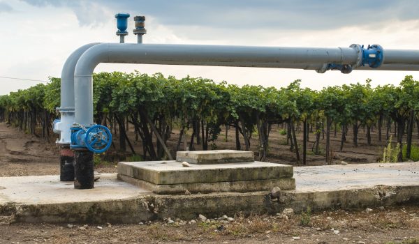 empresas agua purificada
