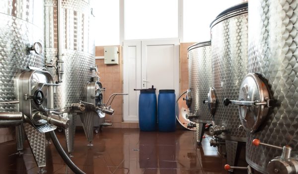 producción de vino